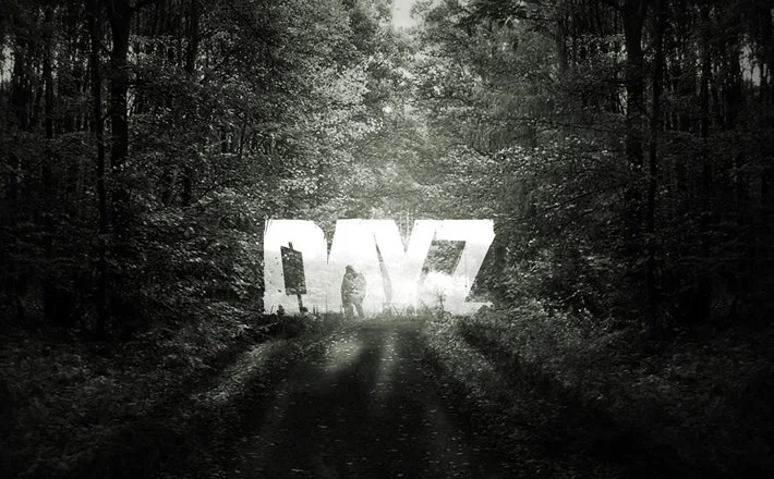 dayz