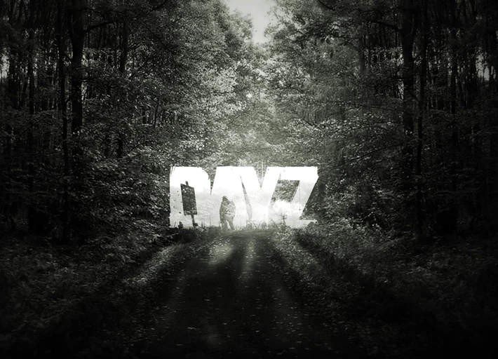 dayz