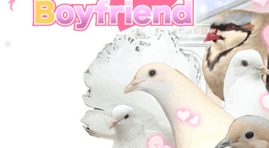Imagen de Hatoful Boyfriend, el simulador de citas de palomas, llegará a PlayStation 4 y PlayStation Vita