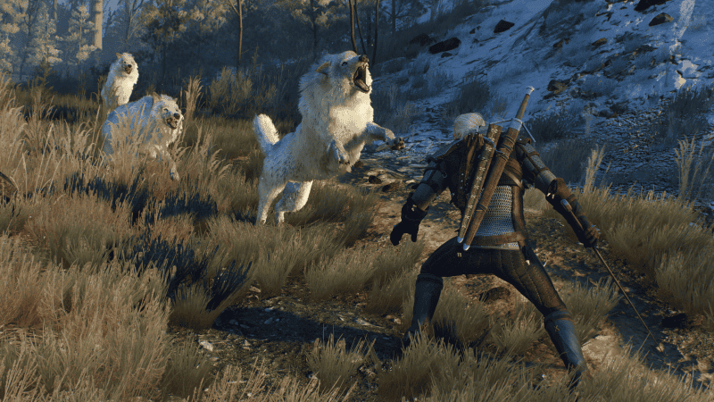 The_Witcher_3_Wild_Hunt_These_animals_can_rip_you_apart_in_seconds_if_youre_not_careful