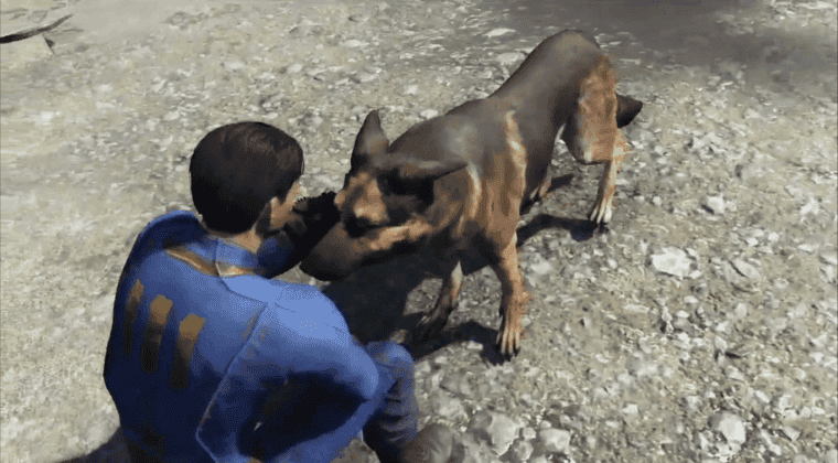 Imagen de Albóndiga no podrá morir en Fallout 4