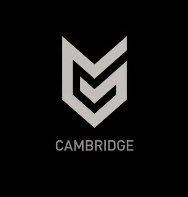 Imagen de Guerrilla Cambridge presenta RIGS