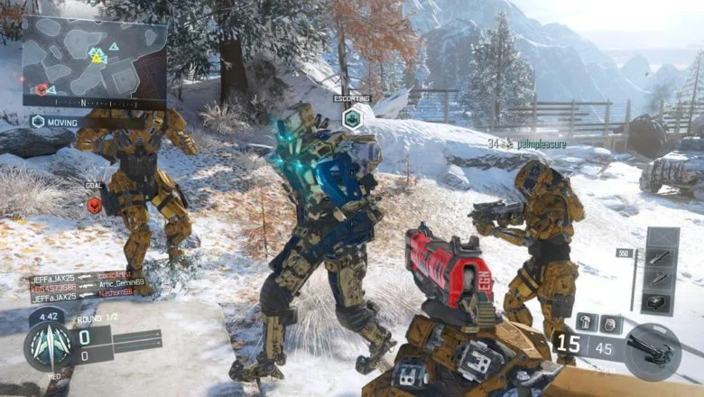 BlackOps3Escort