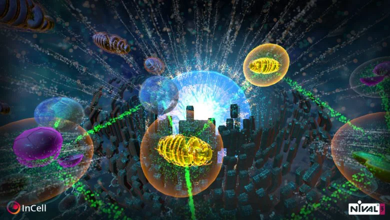 incell vr 09