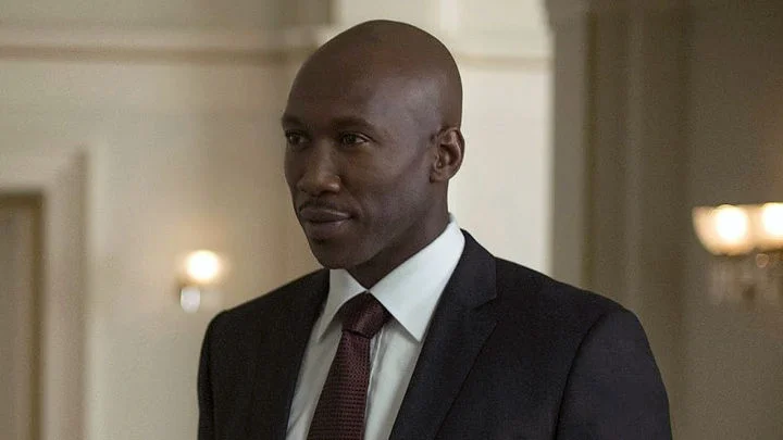 Imagen de Simone Missick y Mahershala Ali se unen a Marvel's Luke Cage