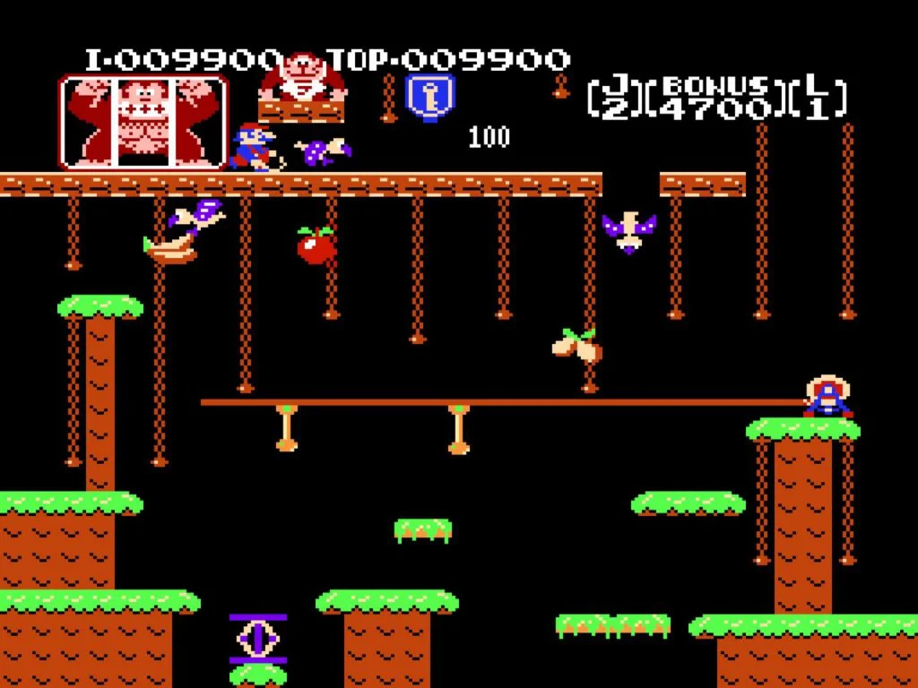 Donkey Kong Jr.