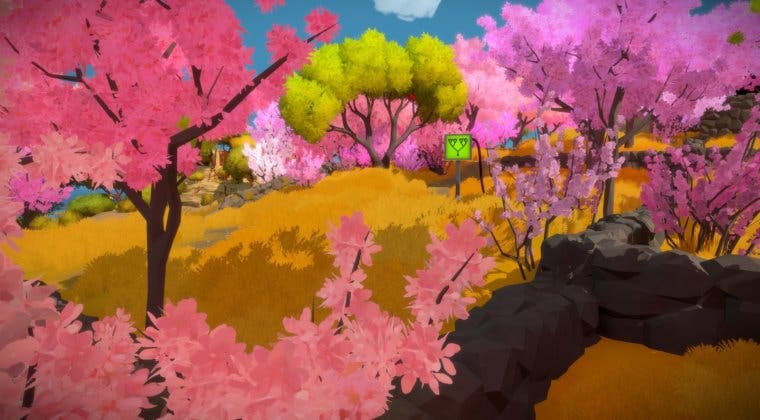 Imagen de No veremos The Witness en PlayStation VR