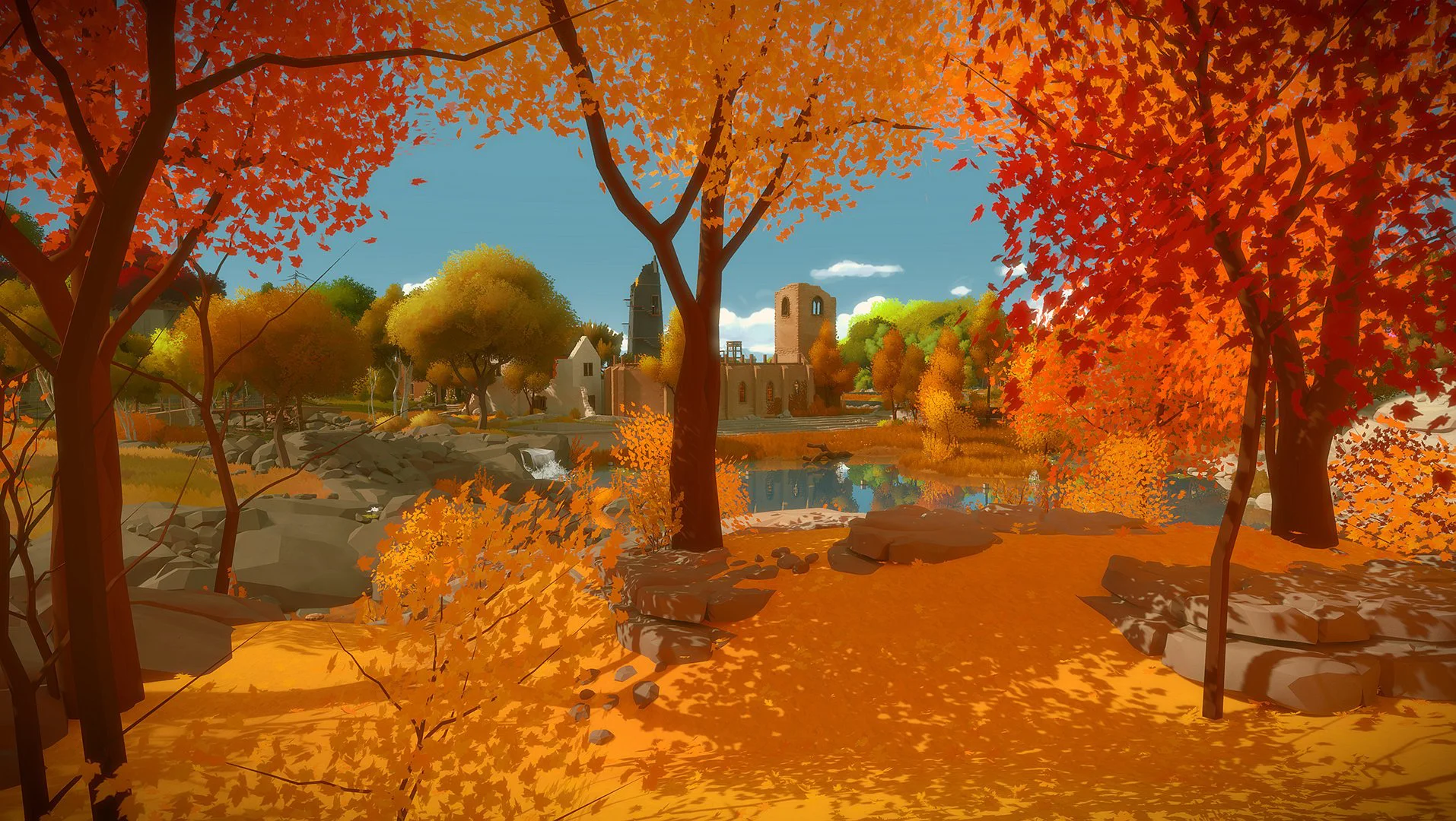 The Witness 8
