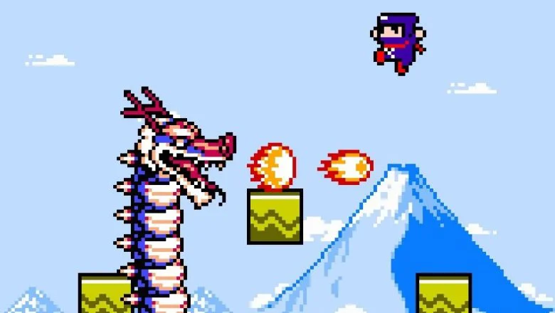 ninja senki