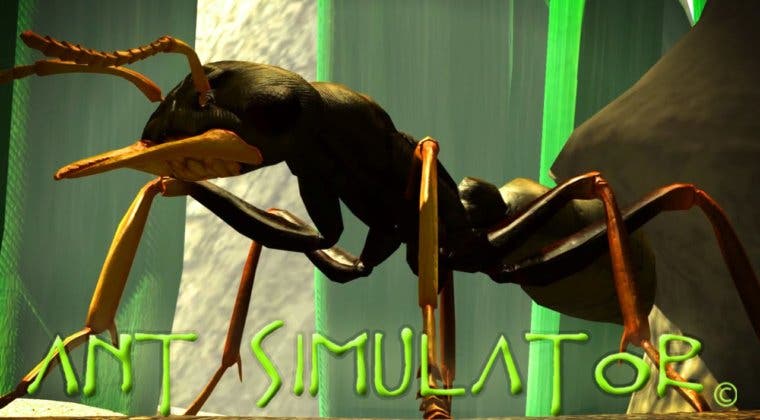 Imagen de El dinero del crowdfunding de Ant Simulator se destinó a fiestas y strippers