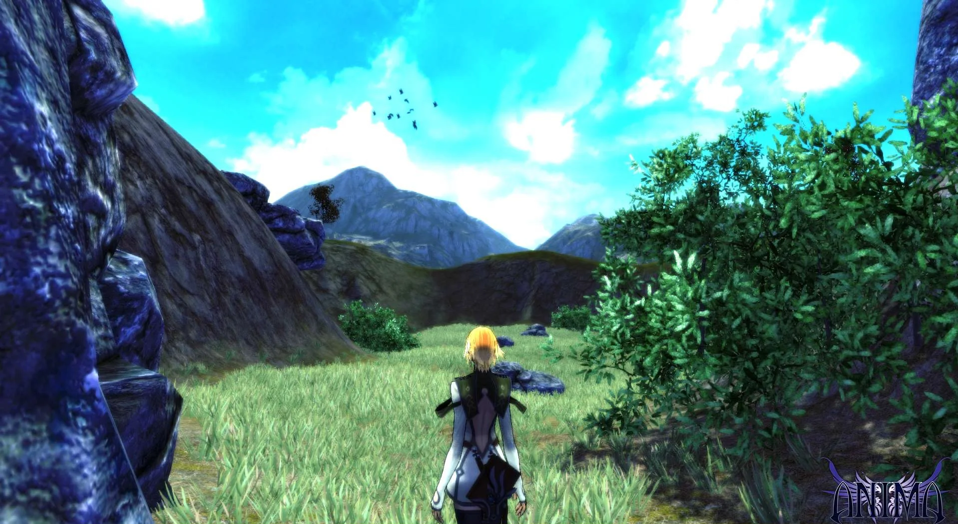 Anima Gate 2