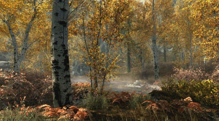 Imagen de Skyrim Special Edition será gratuito para algunos usuarios