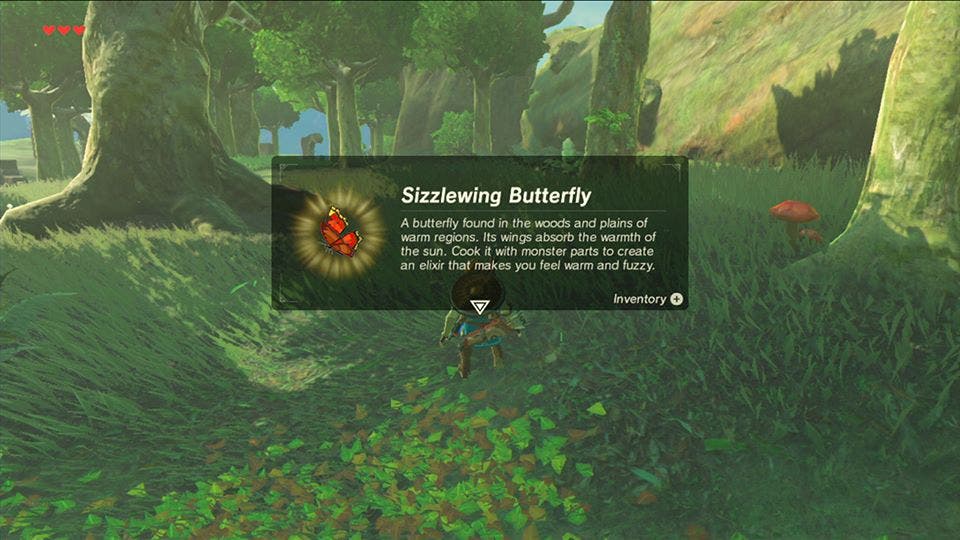 The Legend of Zelda Breath of the Wild ingredientes 2