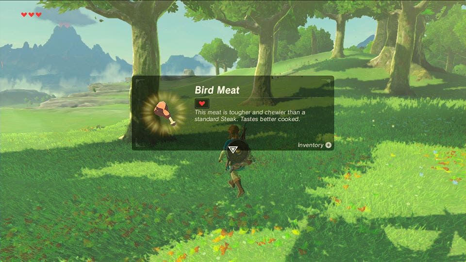 The Legend of Zelda Breath of the Wild ingredientes 3
