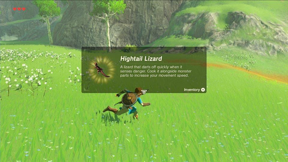 The Legend of Zelda Breath of the Wild ingredientes 4