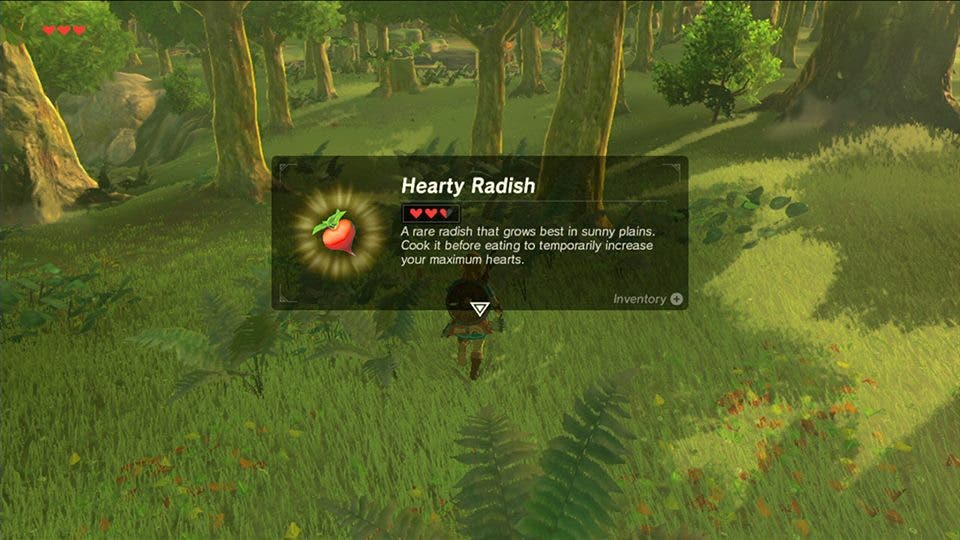 The Legend of Zelda Breath of the Wild ingredientes 6