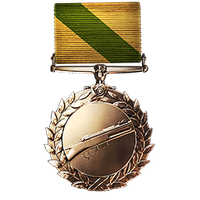 Medic Order of Valor Medal