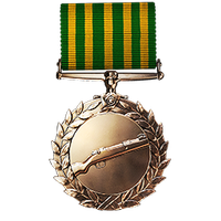 Scout Order of Valor Medal