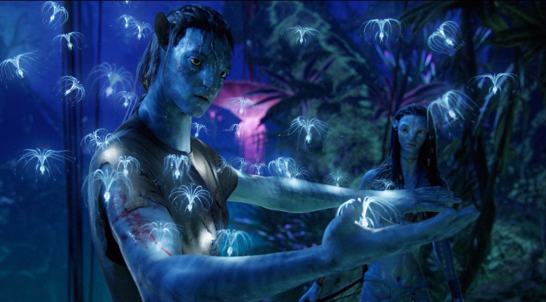 Imagen de Cameron ha terminado los guiones de todas las secuelas de Avatar