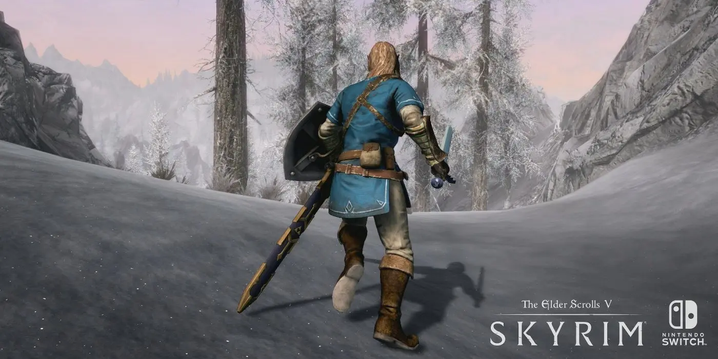 Legend of Zelda Skyrim Link