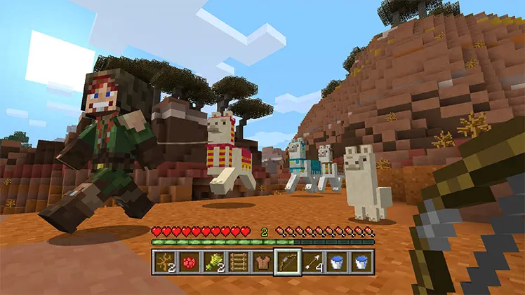 Minecraft