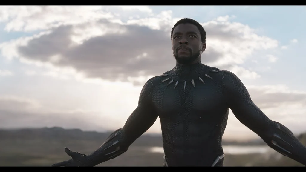 Areajugones Black Panther