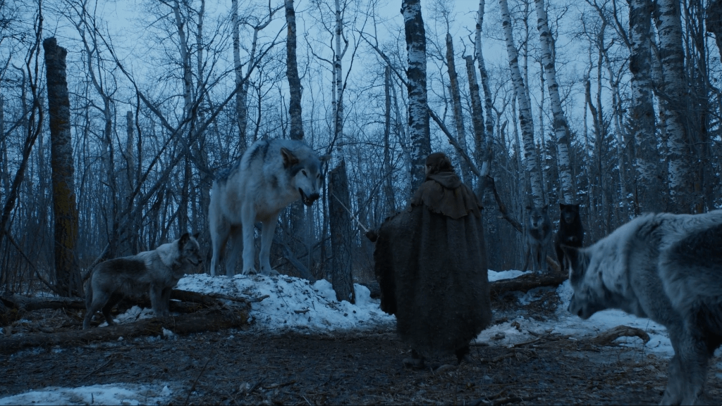 arya stark juego de tronos nymeria