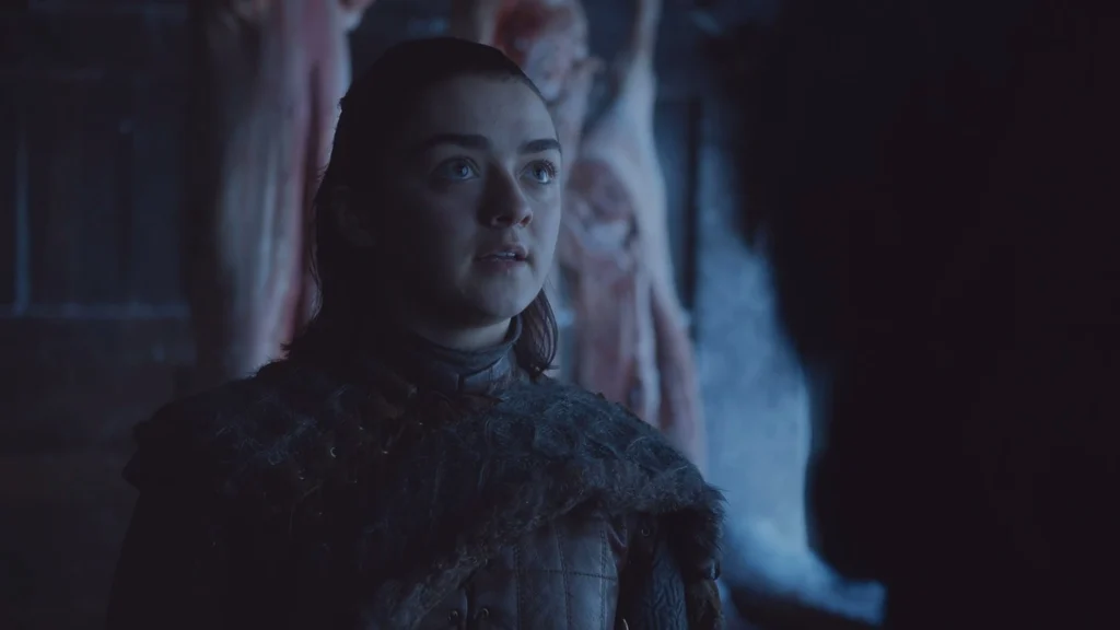 ARYA Y SANSA JUEGO DE TRONOS