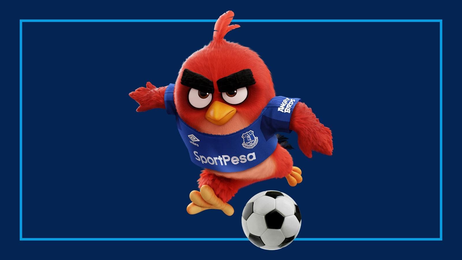 Imagen de Indignación de los fans del Everton con la publicidad de Angry Birds