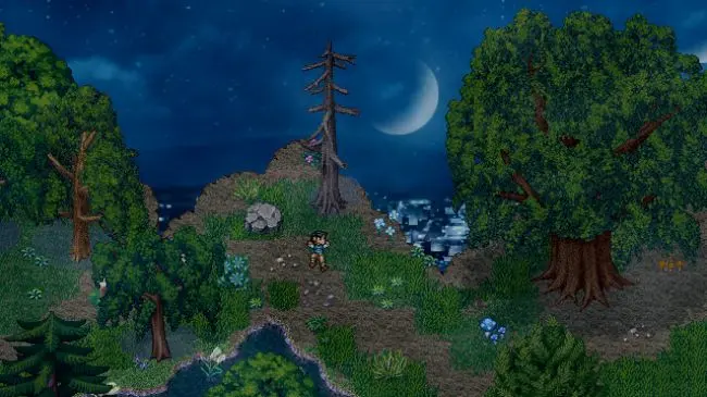 Imagen de Finding Paradise recibe un tráiler para acompañar su lanzamiento