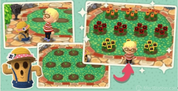 animal crossing pocket jardin