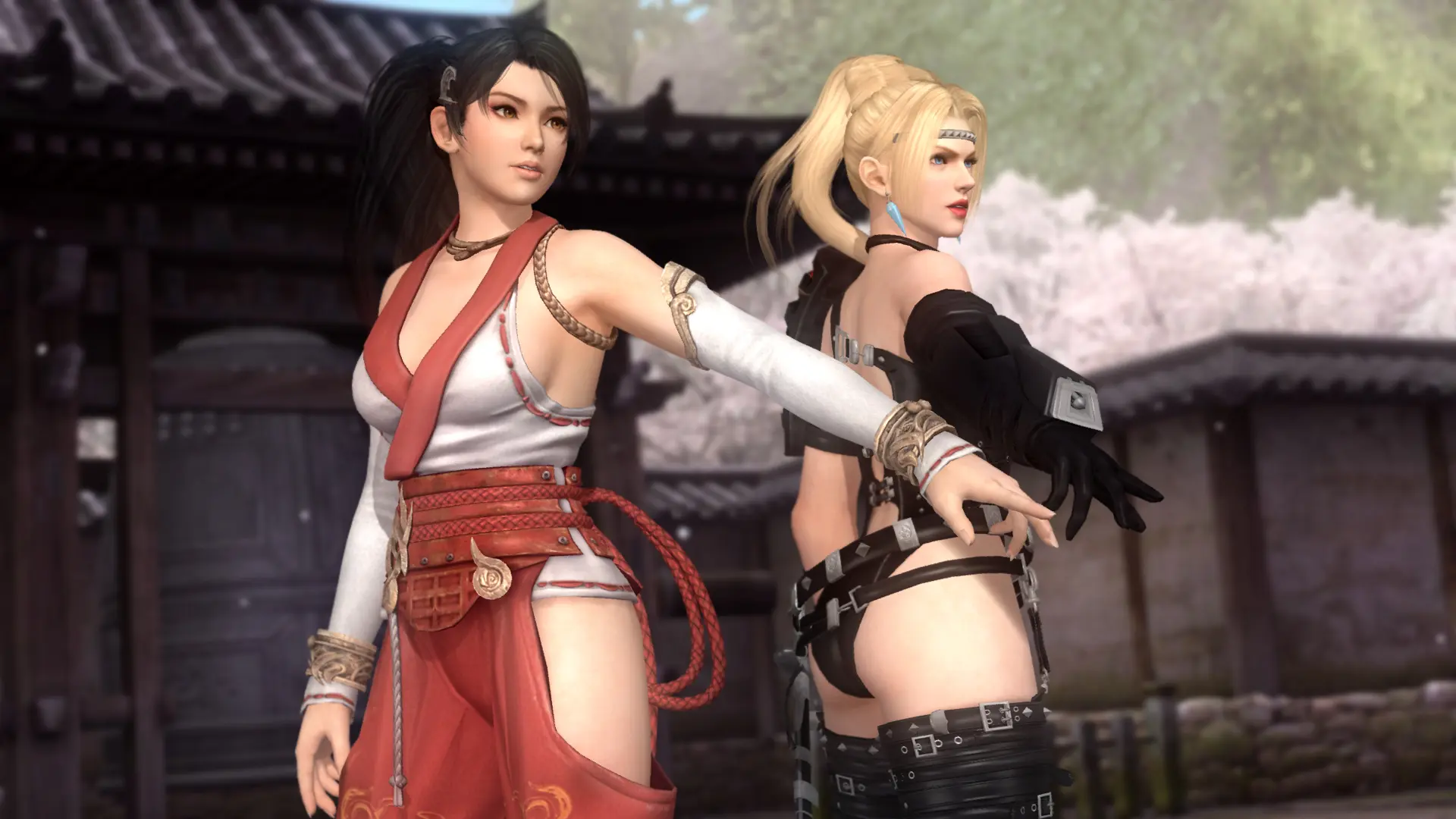dead or alive 5