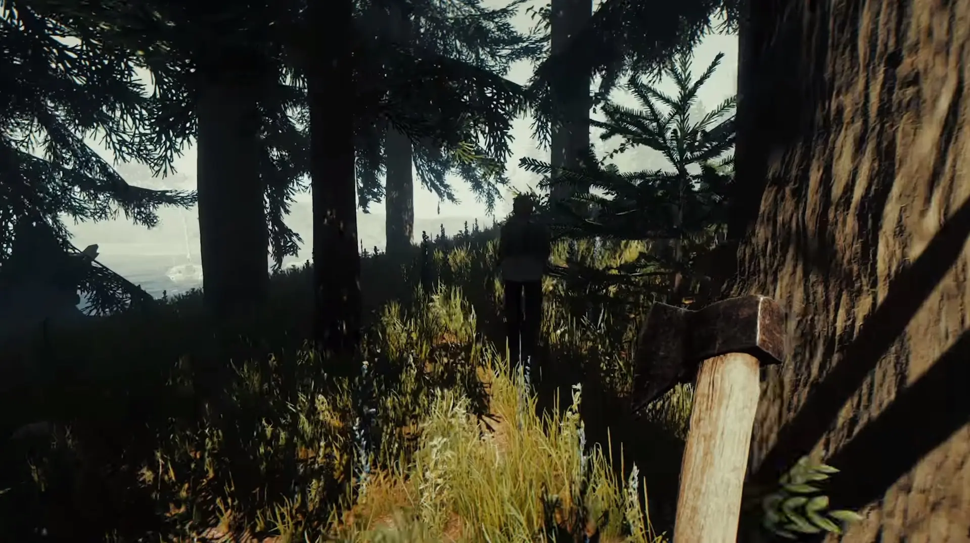 Imagen de The Forest saldrá del Acceso Anticipado muy pronto