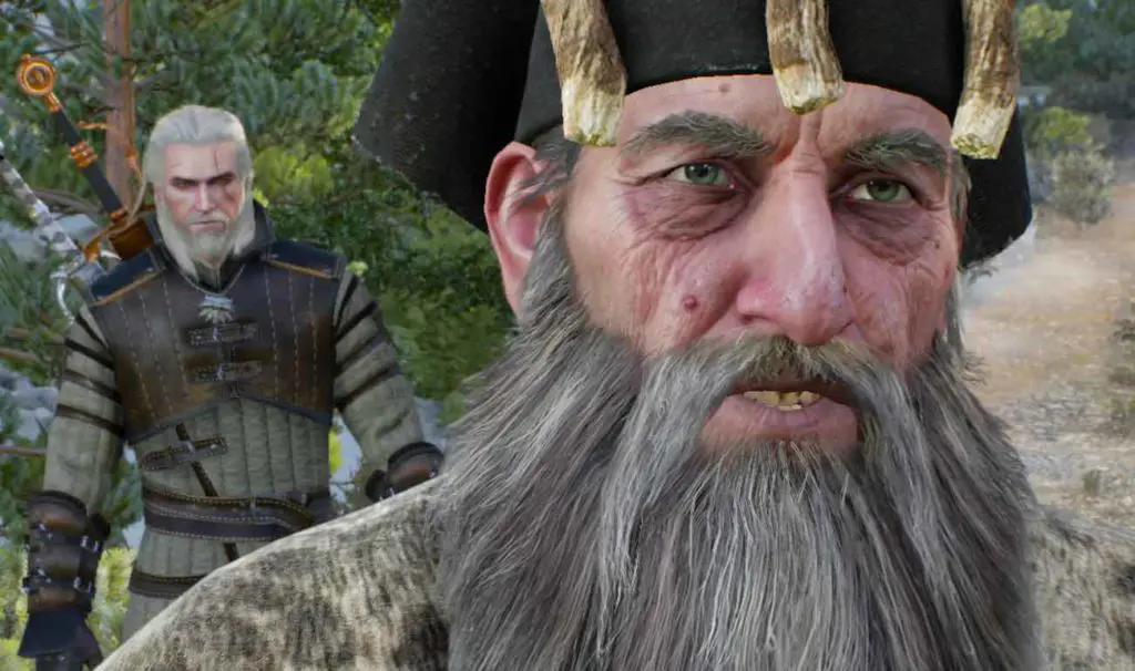 The Witcher