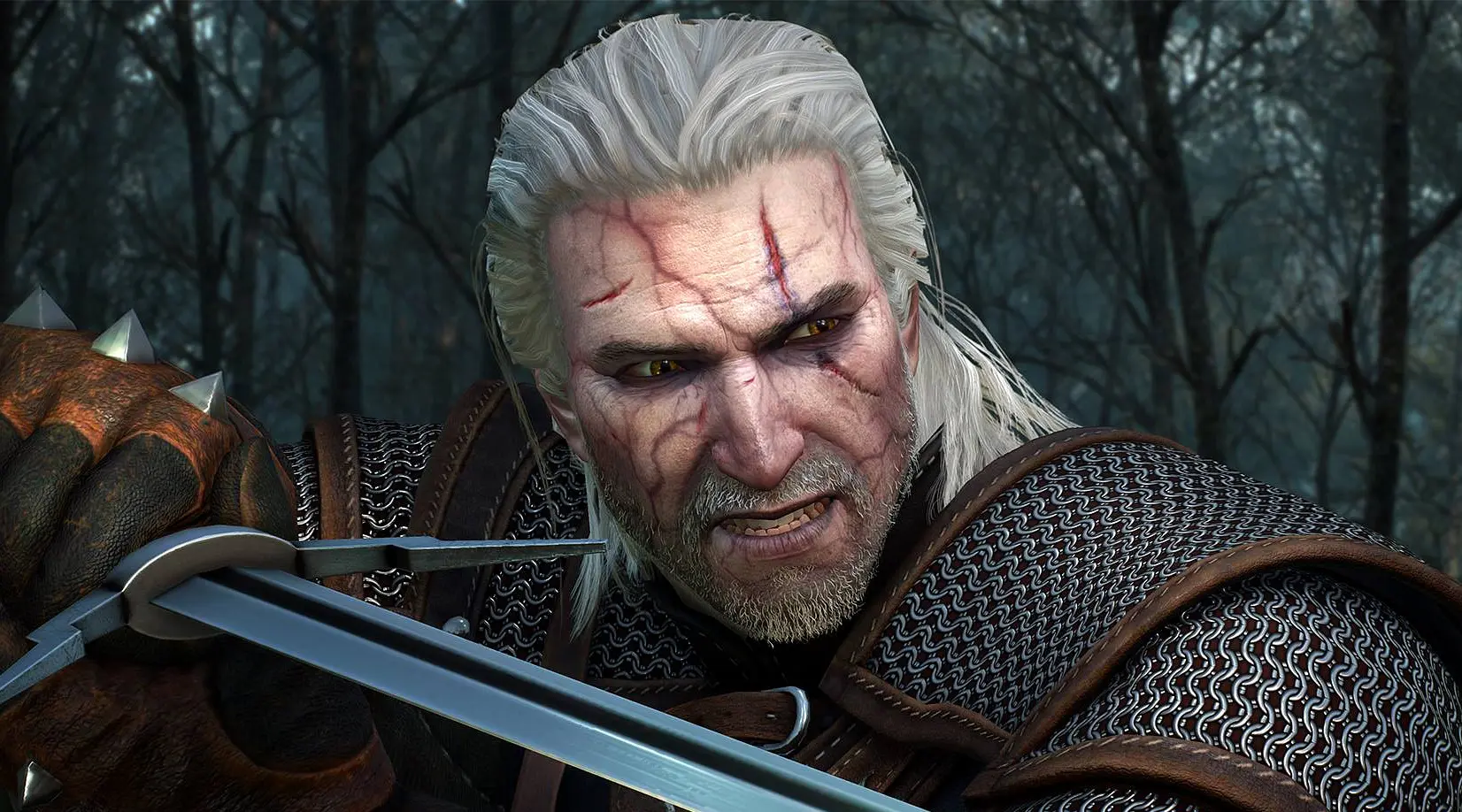the witcher 3