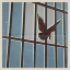 a way out trofeo 2
