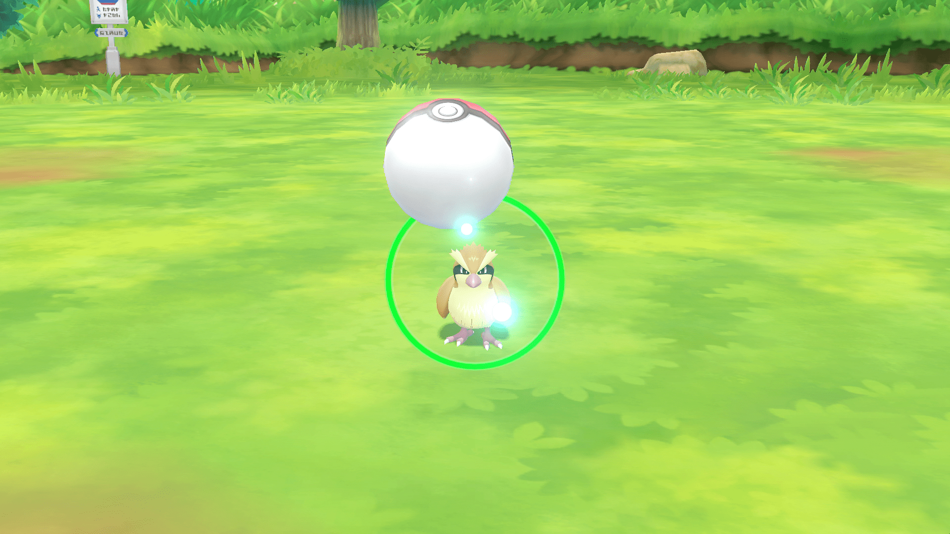 Pokémon GO