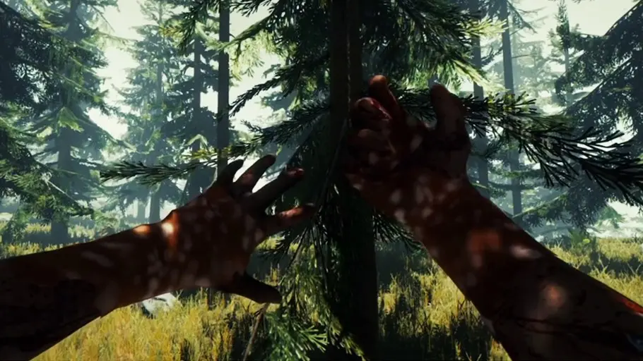 the forest 5