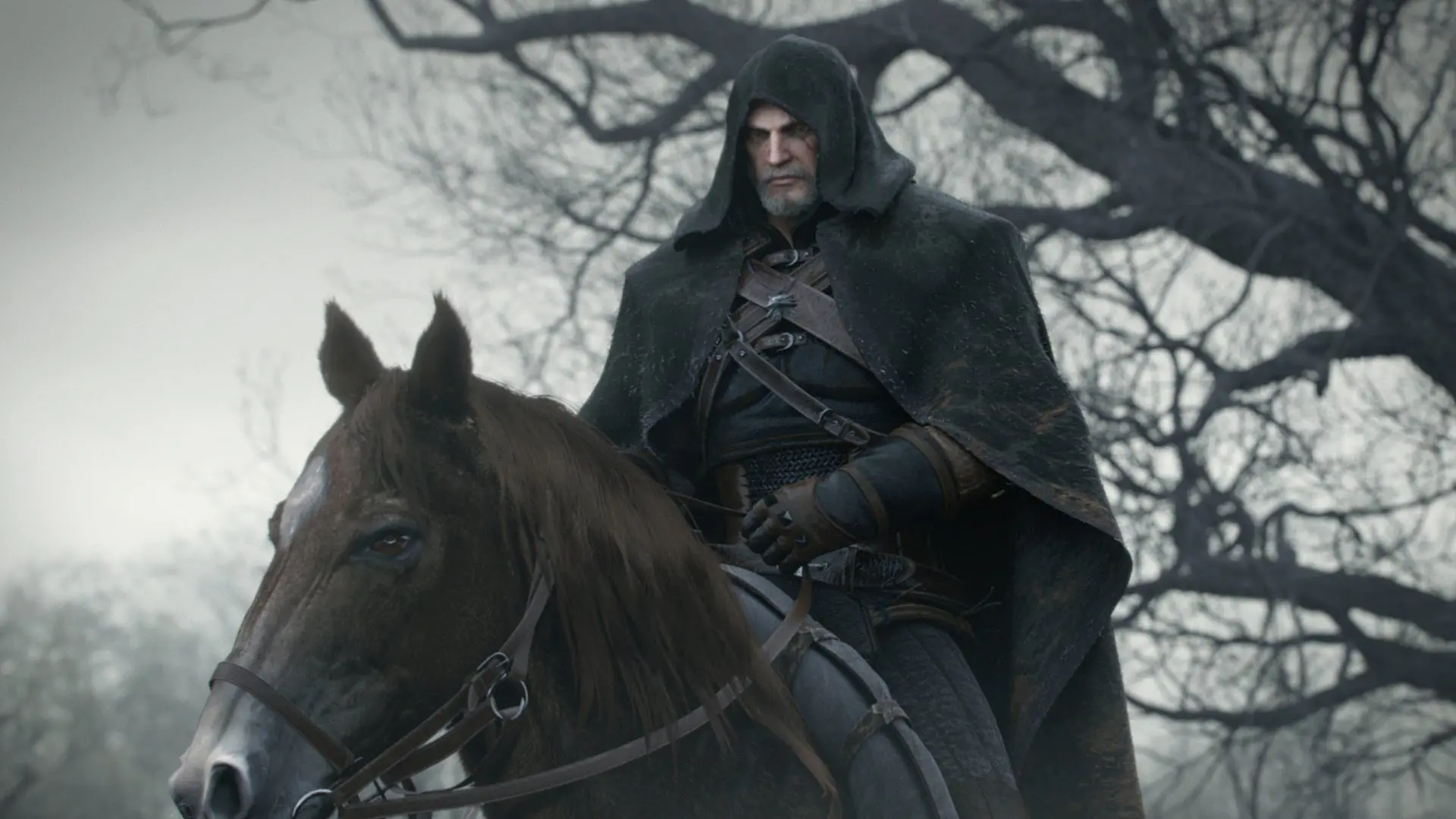 the witcher