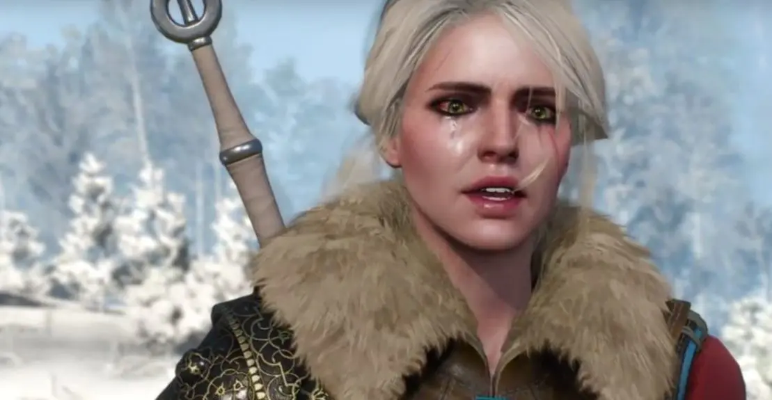 the witcher 3