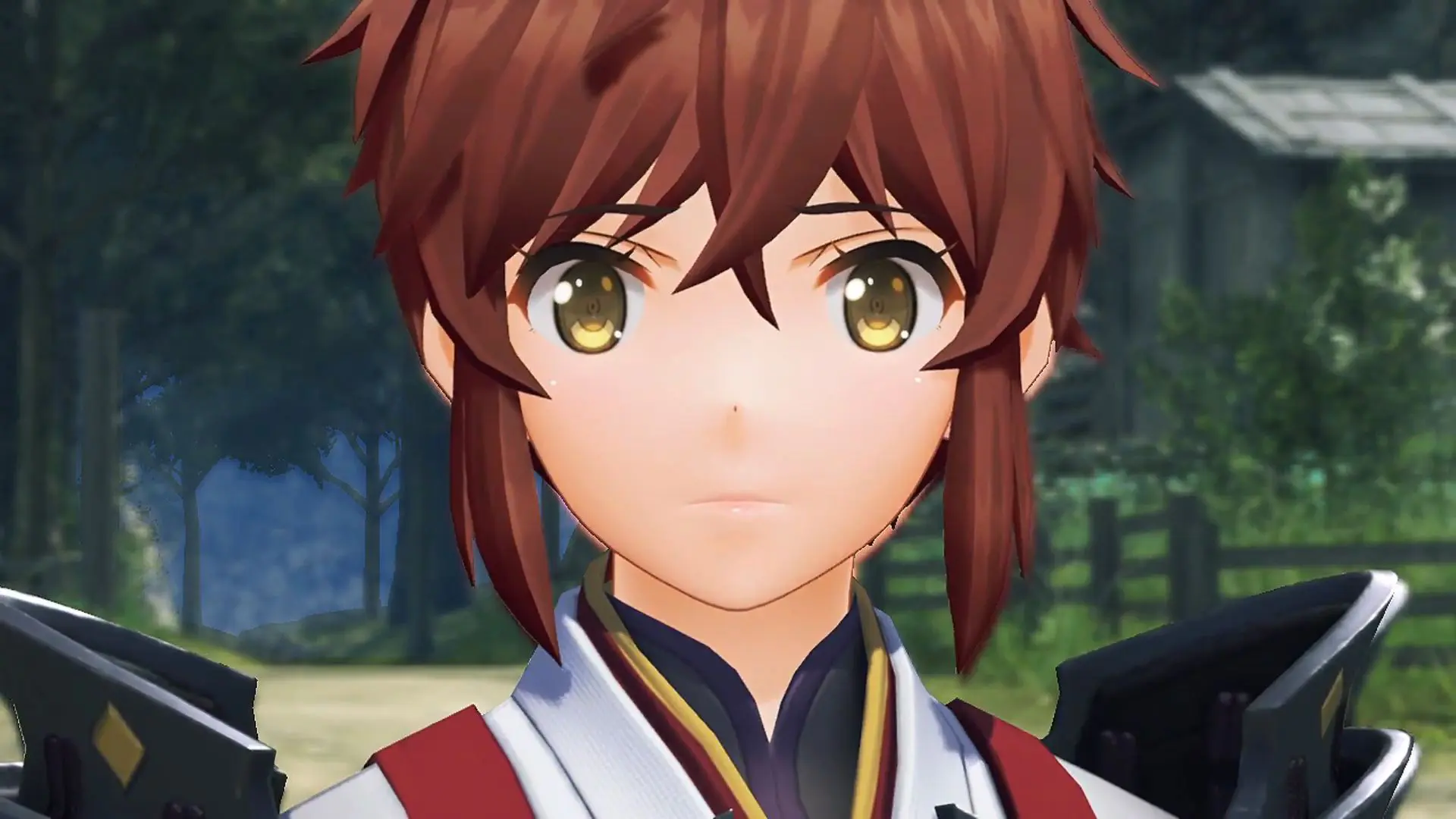 Imagen de El libro de arte de Xenoblade Chronicles 2 ve retrasado su lanzamiento por problemas de stock