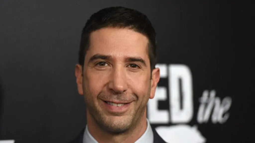 david schwimmer