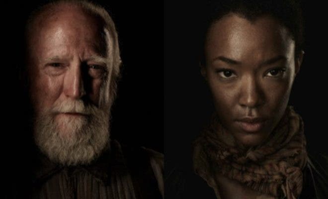 hershel sasha the walking dead