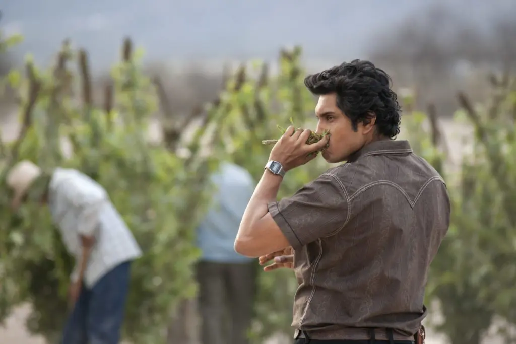 NARCOS MEX 103 Unit 02080R2 min