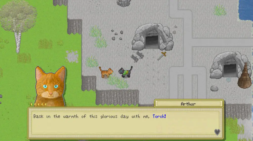 cattails review 2