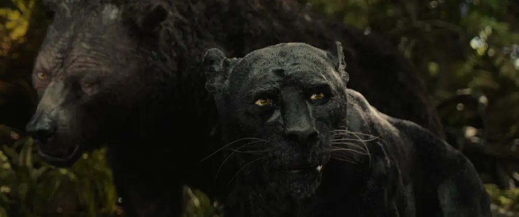 Mowgli 3