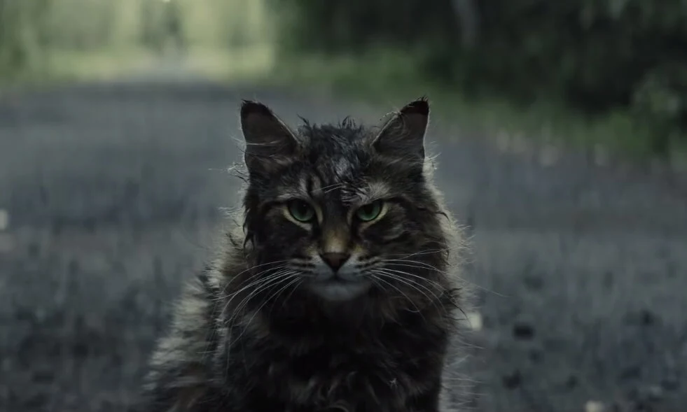 Imagen de El nuevo tráiler de Cementerio de animales reza que a veces es mejor seguir muerto