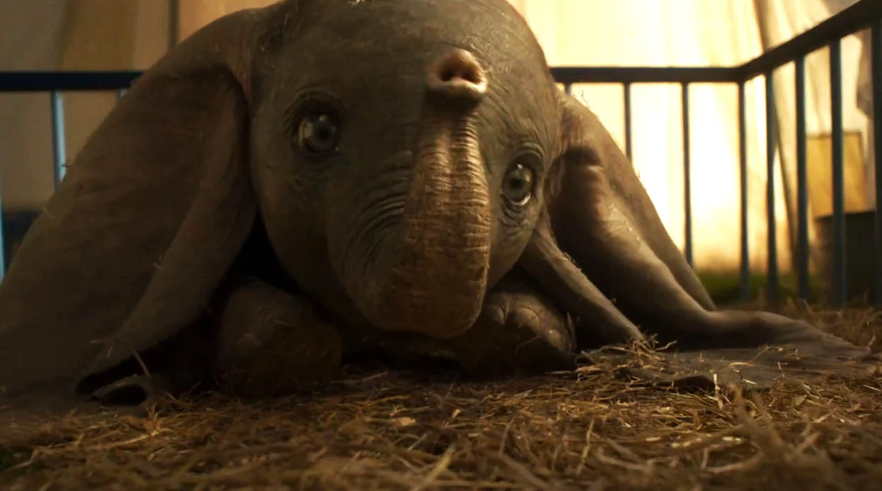 Imagen de El nuevo tráiler internacional de Dumbo es un ataque directo al corazón