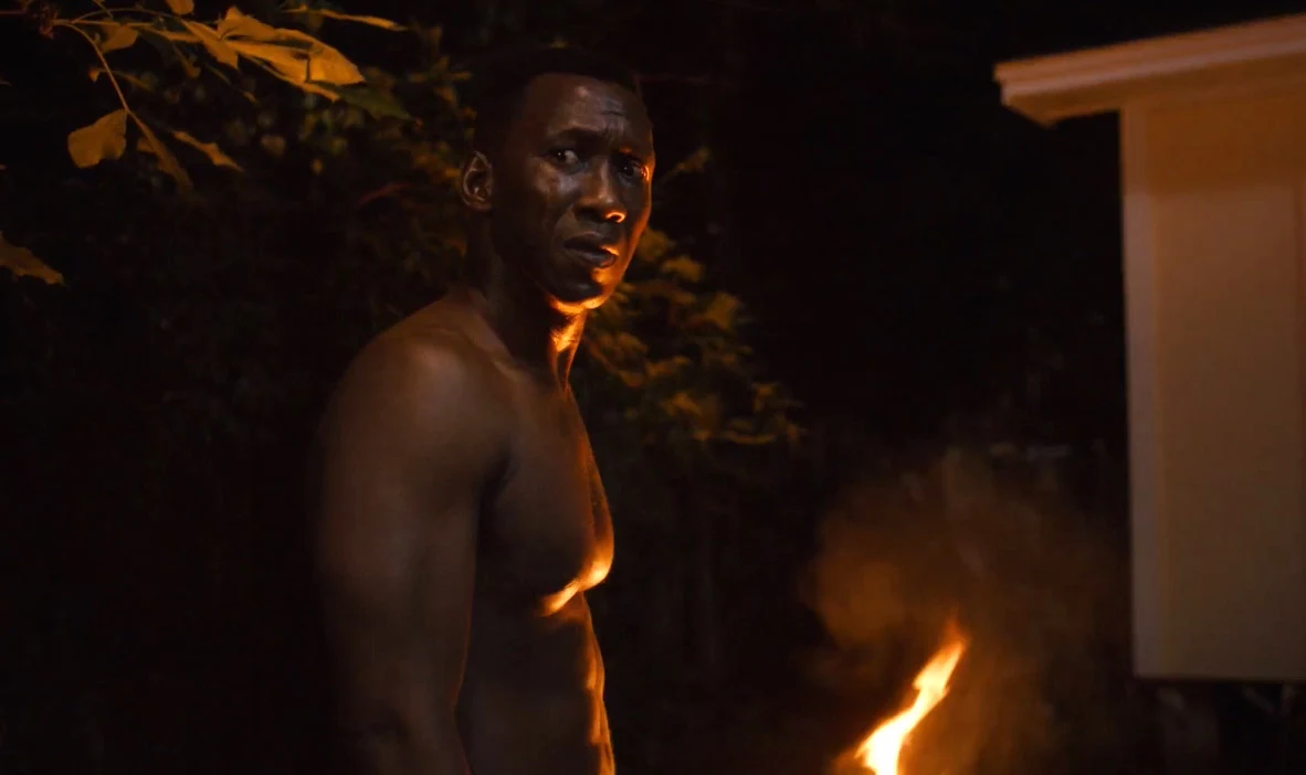 Imagen de Crítica de True Detective 3x07: Todo o nada