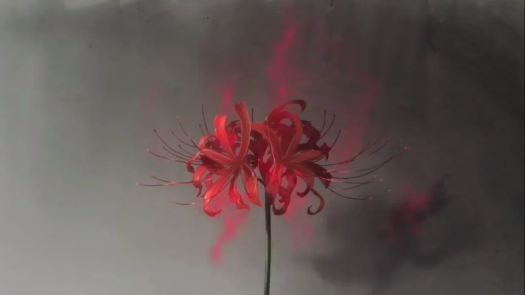Dororo